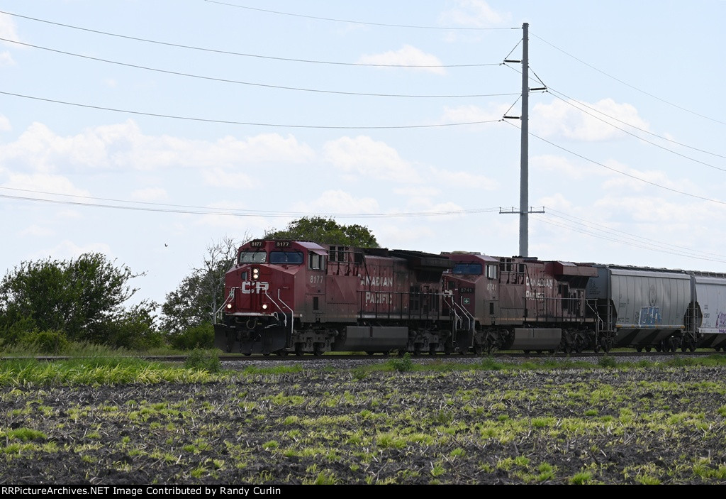 CP 8177 East